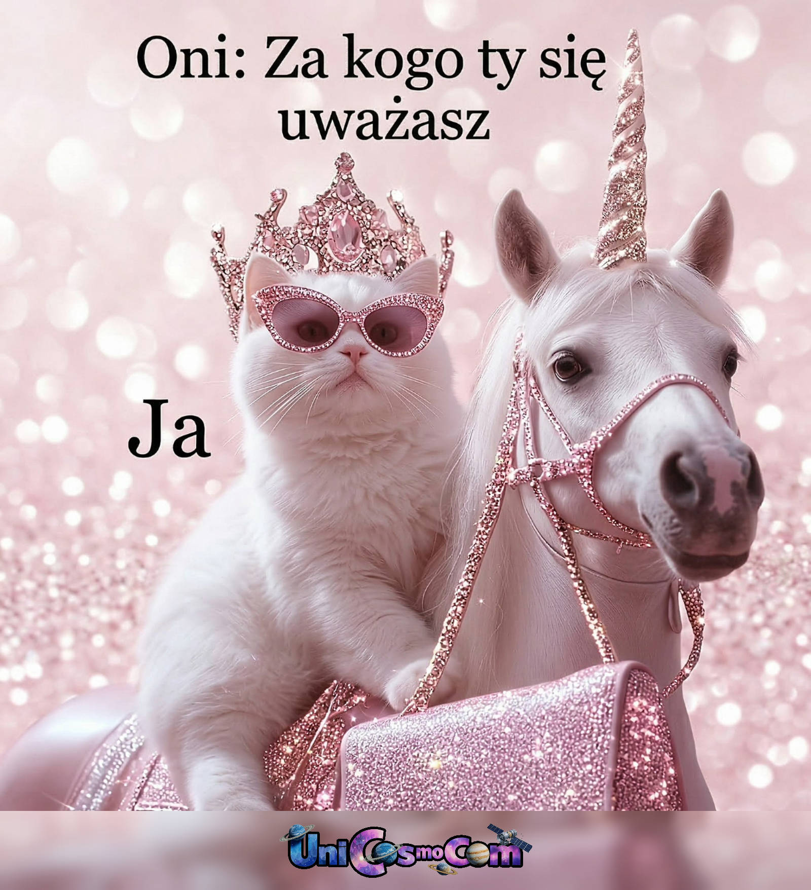 A ty za kogo się uważasz #za_kogo_się_uważasz #bezczelna #mem