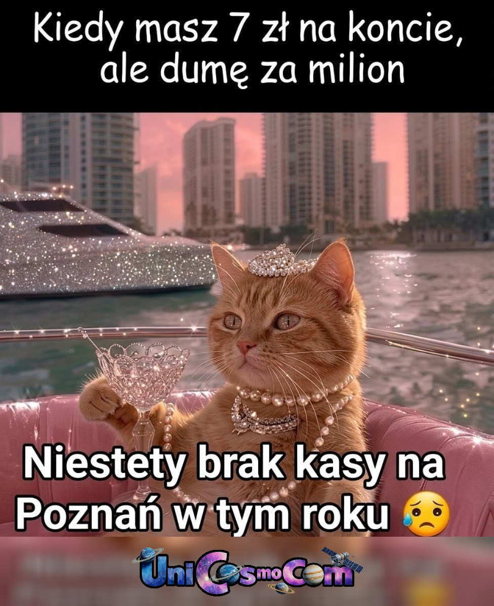 Duma – Mem internetowy w UniCosmoCom [#mem]