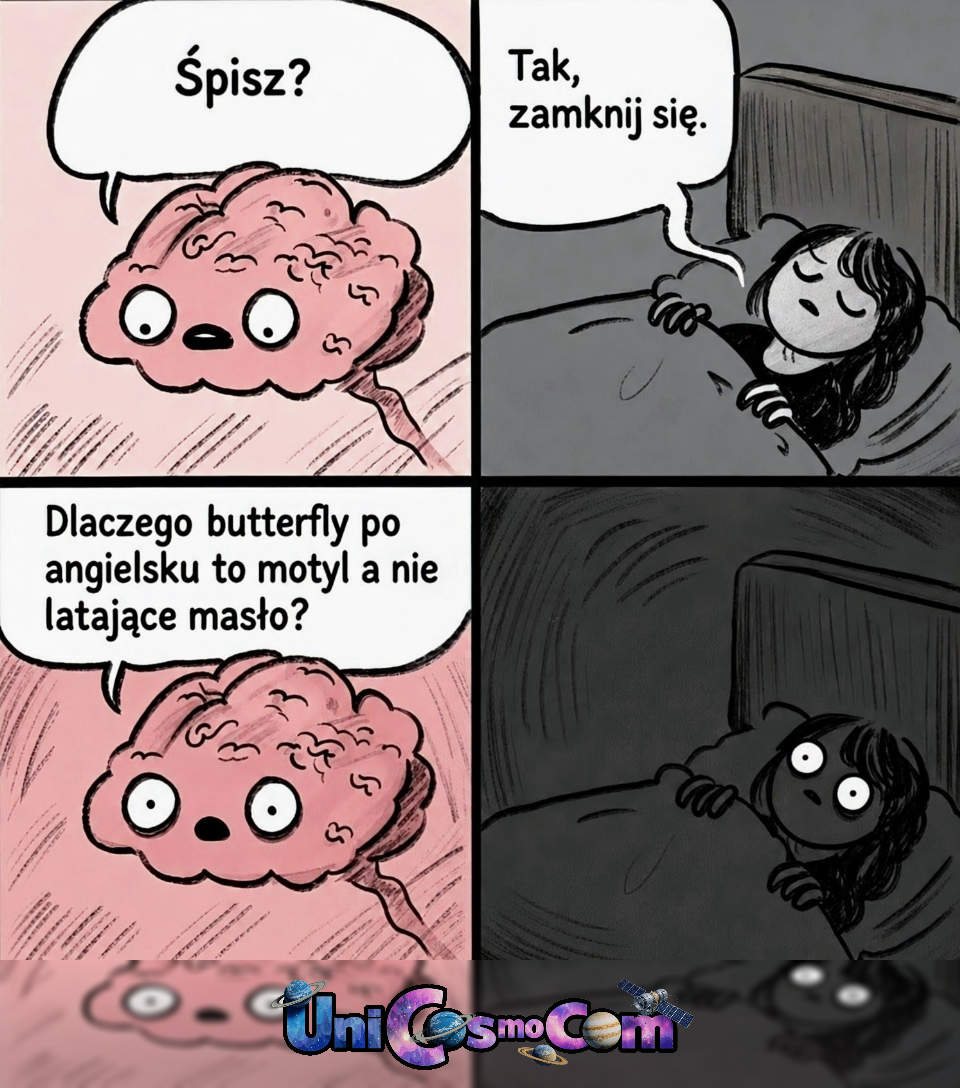 mózg znowu nie daje spać – Mem internetowy w UniCosmoCom [#komiks #mem #humor #zabawne #mózg #bezsenność]
